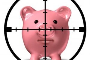 Pig-in-sights-300×300